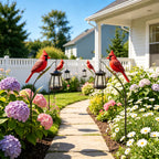 🐦 Cardinal Solar Light—A Beautiful Garden Light That Feels Full of Life